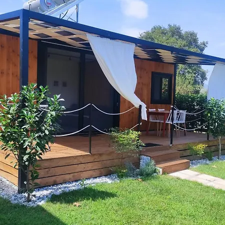 Wooden Luxury *