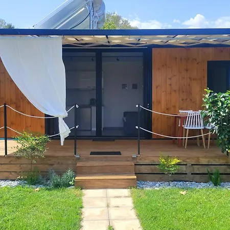 Wooden Luxury